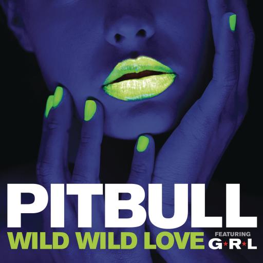Pitbull - Wild Wild Love