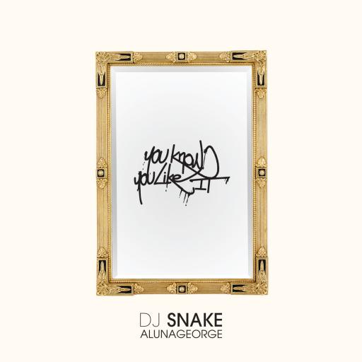 DJ Snake / AlunaGeorge - You Know You Like It