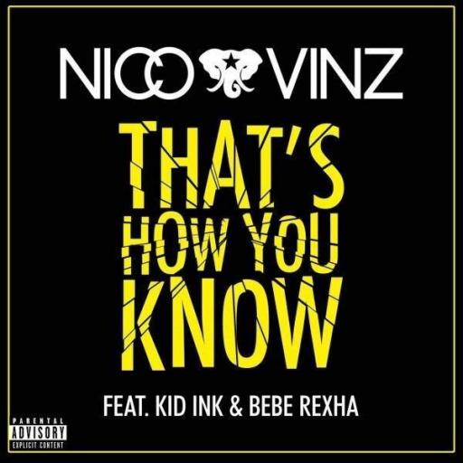 Nico & Vinz - That’s How You Know