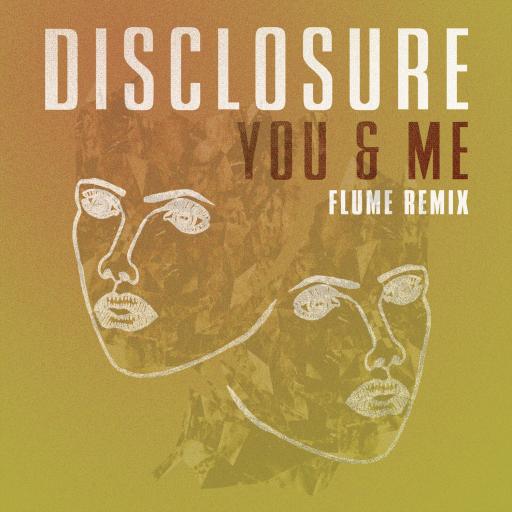 Disclosure - You and Me