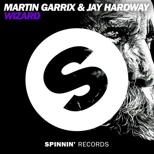 Martin Garrix / Jay Hardway - Wizard