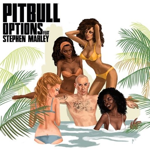 Pitbull / Stephen Marley - Options