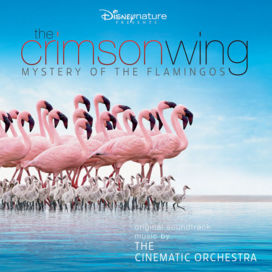 The Cinematic Orchestra - Transformation