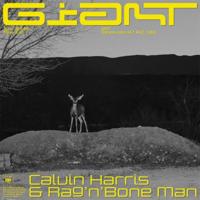 Calvin Harris feat. Rag'n'Bone Man