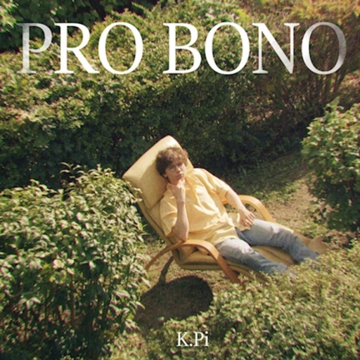 K.Pi - Pro Bono