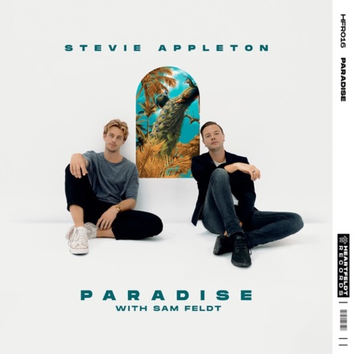 Stevie Appleton / Sam Feldt - Paradise