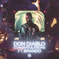Don Diablo feat. BRANDO