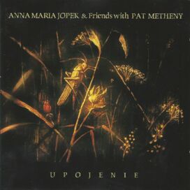 Anna Maria Jopek, Pat Metheny - Tam, gdzie nie sięga wzrok