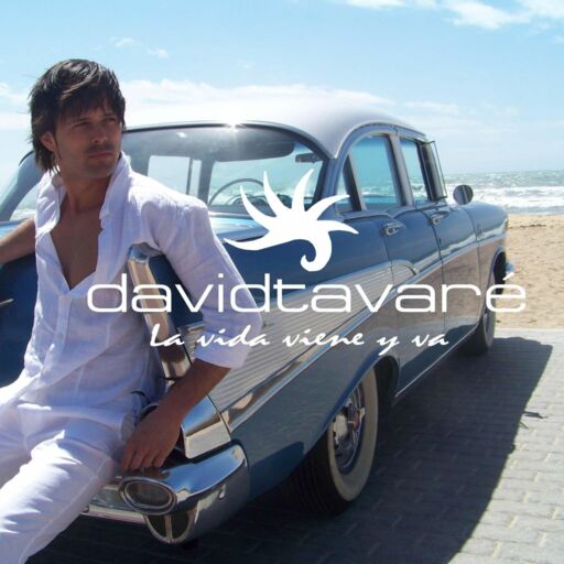 David Tavaré - If You Don't Know My Name